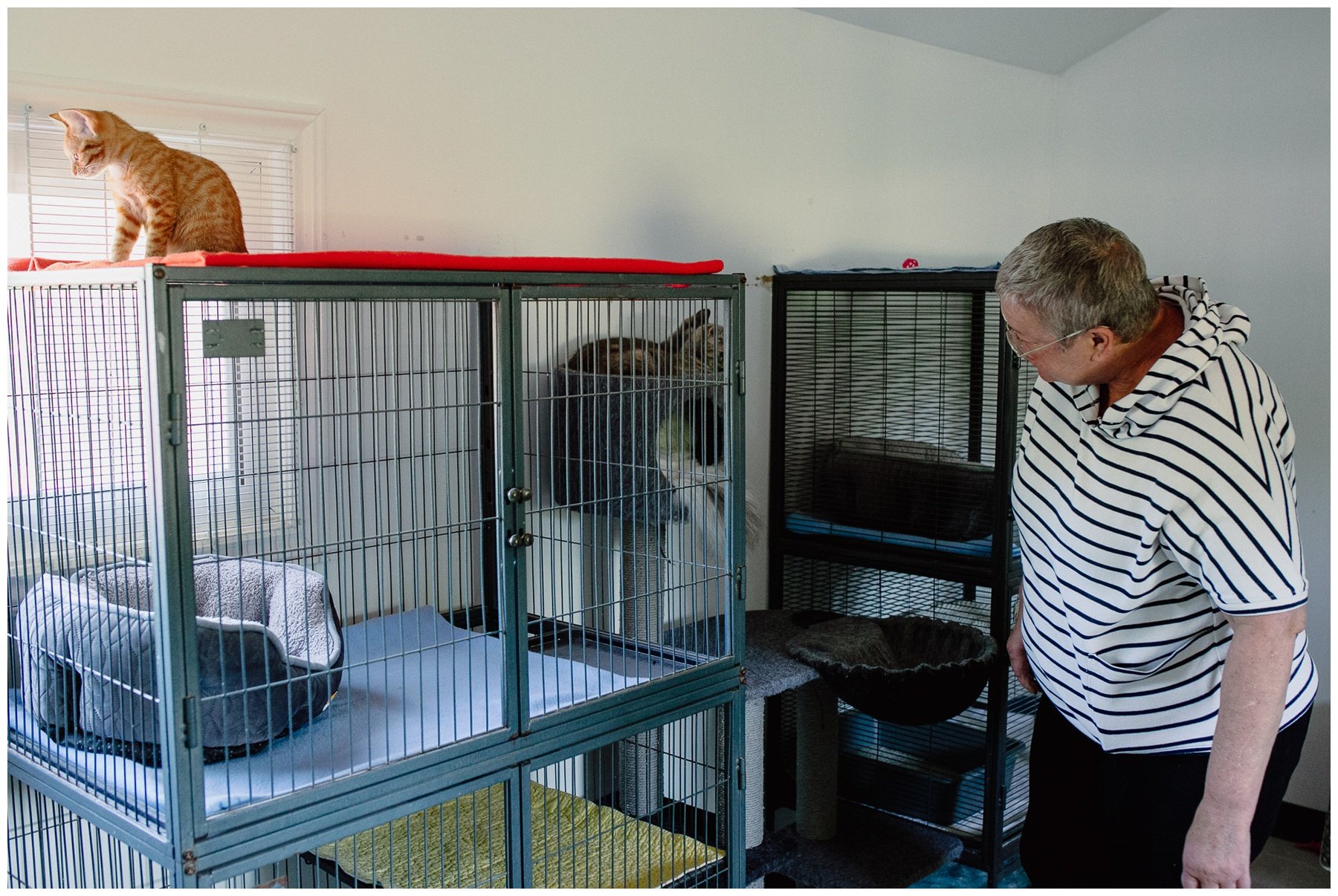 Kerry Ford Photography - Furry Tales Cat Rescue 2023-1.jpg