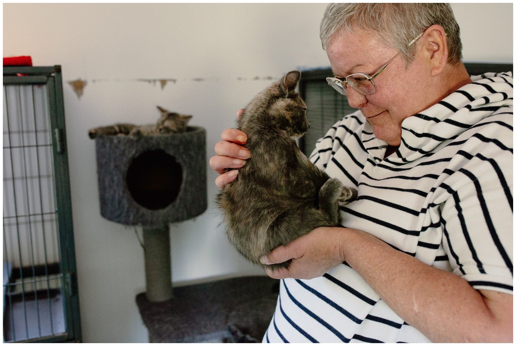 Kerry Ford Photography - Furry Tales Cat Rescue 2023-116.jpg
