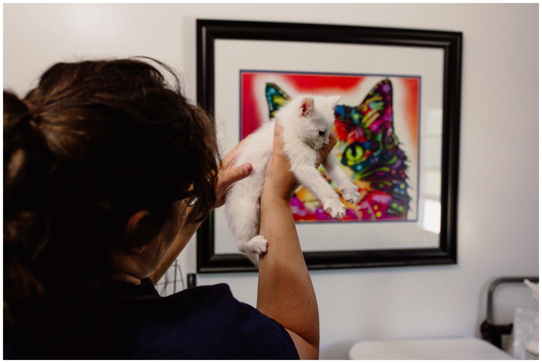 Kerry Ford Photography - Furry Tales Cat Rescue 2023-24.jpg