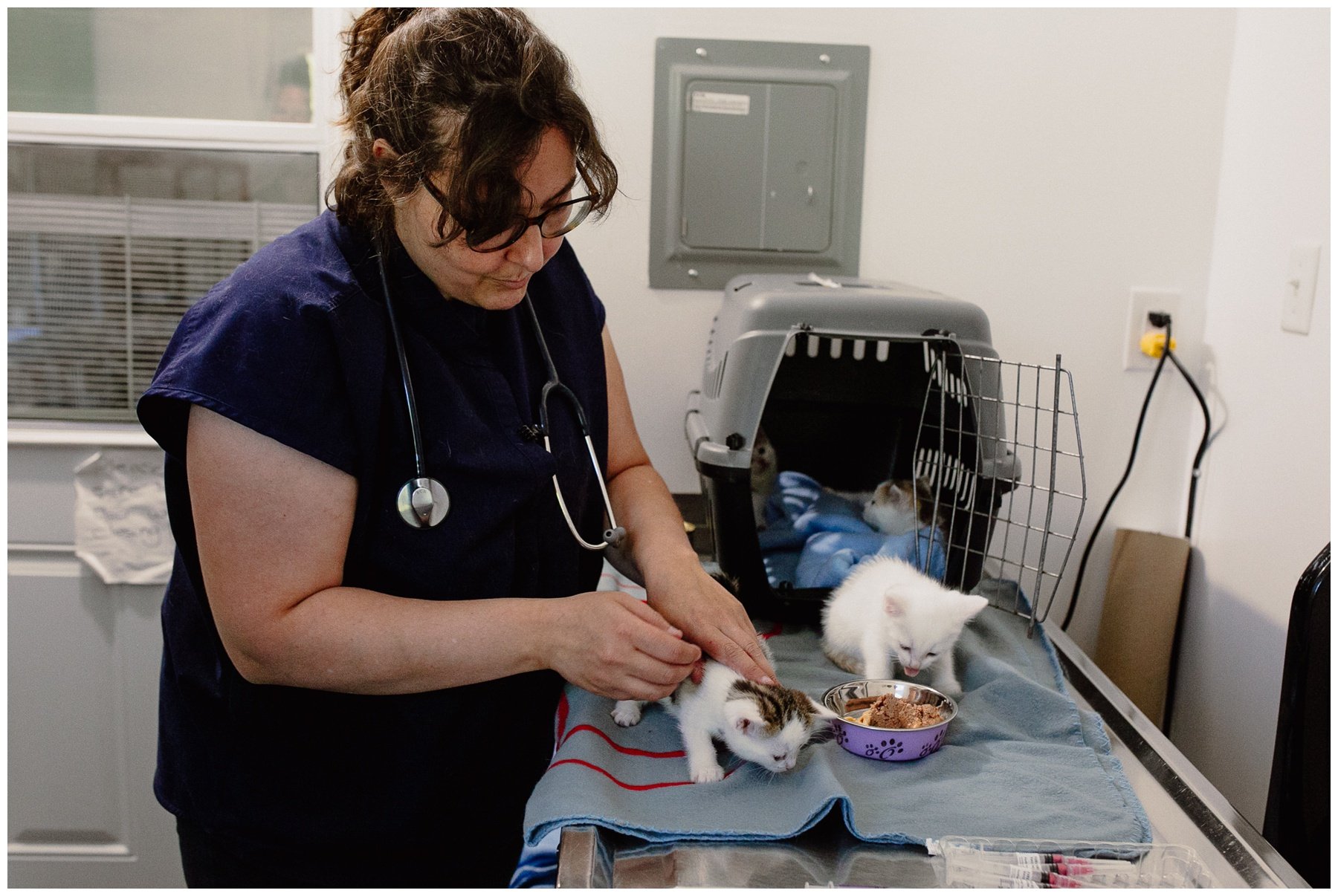 Kerry Ford Photography - Furry Tales Cat Rescue 2023-30.jpg