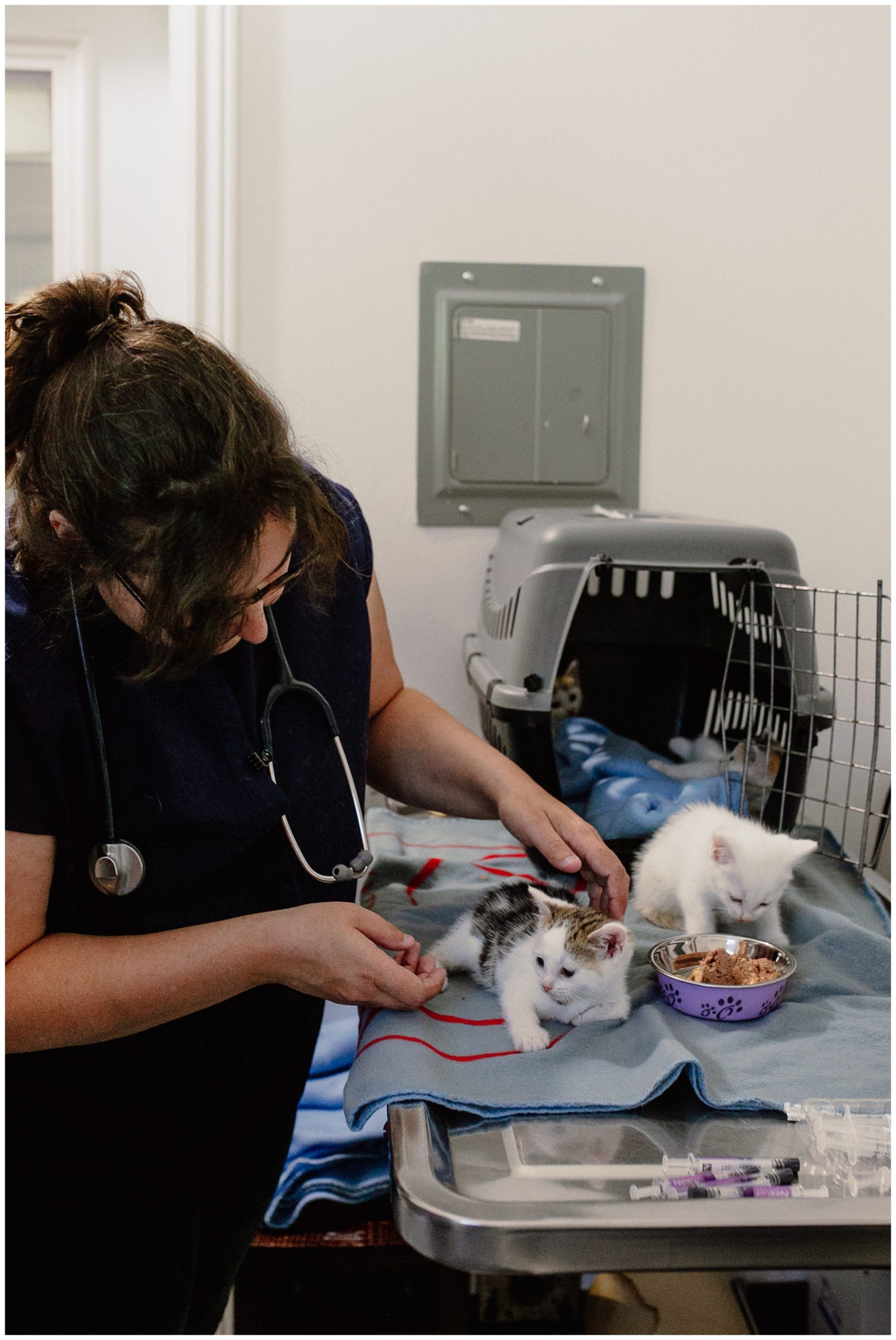 Kerry Ford Photography - Furry Tales Cat Rescue 2023-31.jpg