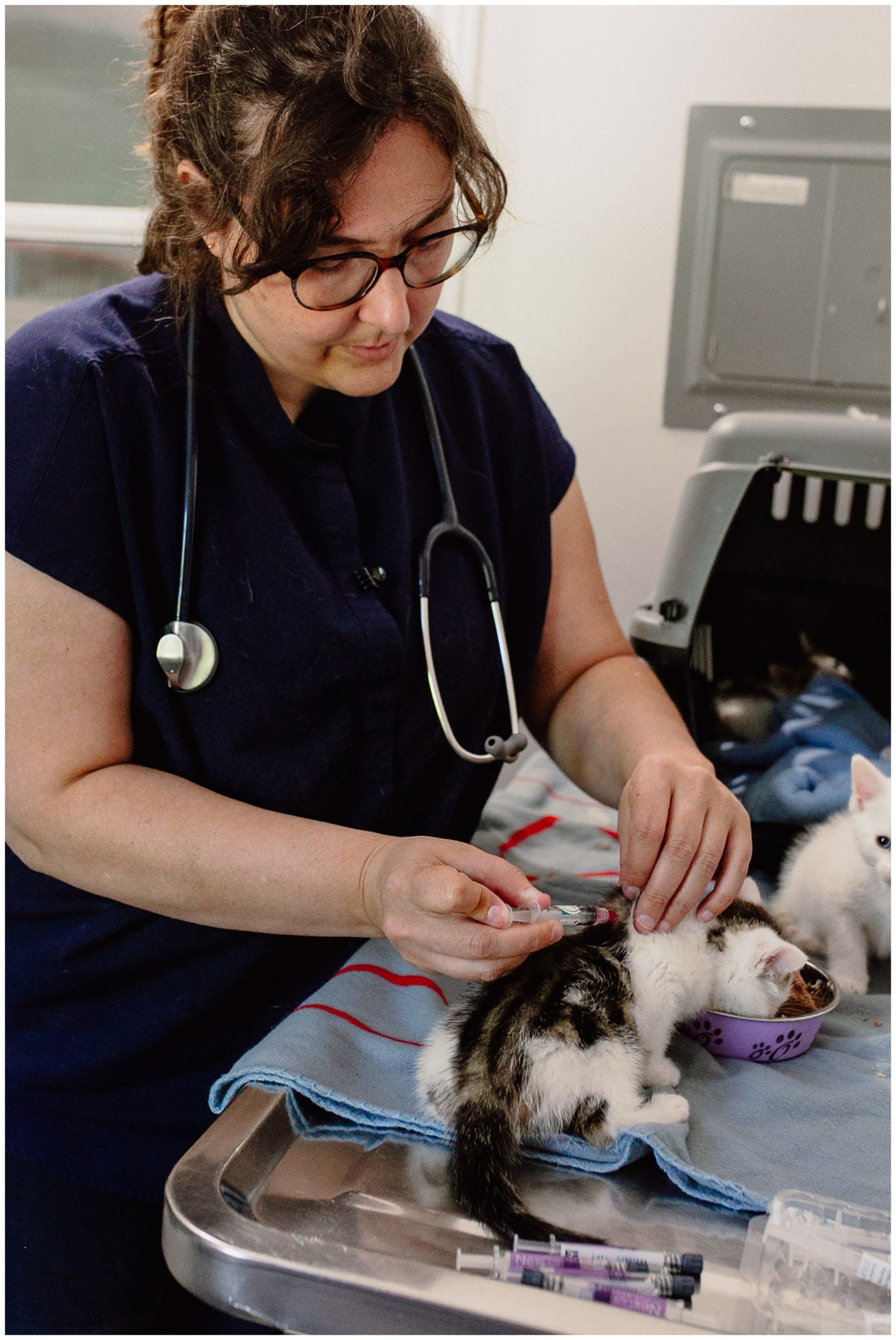 Kerry Ford Photography - Furry Tales Cat Rescue 2023-35.jpg