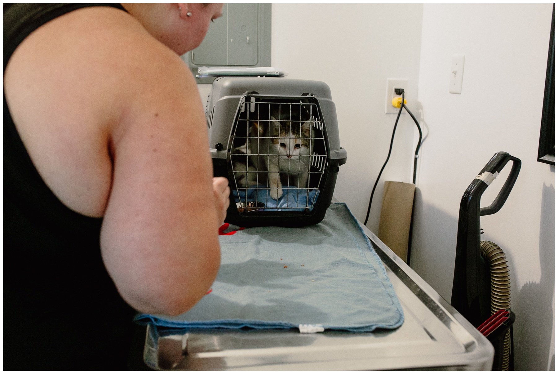 Kerry Ford Photography - Furry Tales Cat Rescue 2023-48.jpg