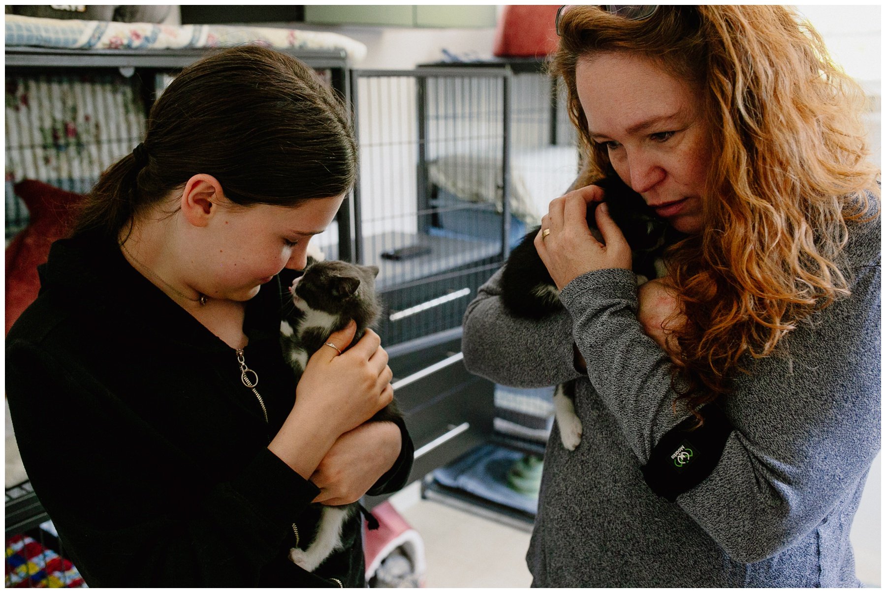 Kerry Ford Photography - Furry Tales Cat Rescue 2023-56.jpg
