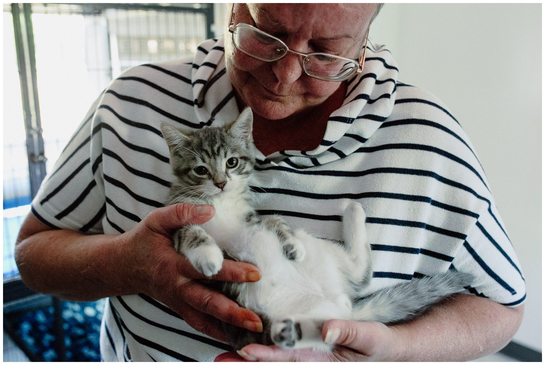 Kerry Ford Photography - Furry Tales Cat Rescue 2023-6.jpg