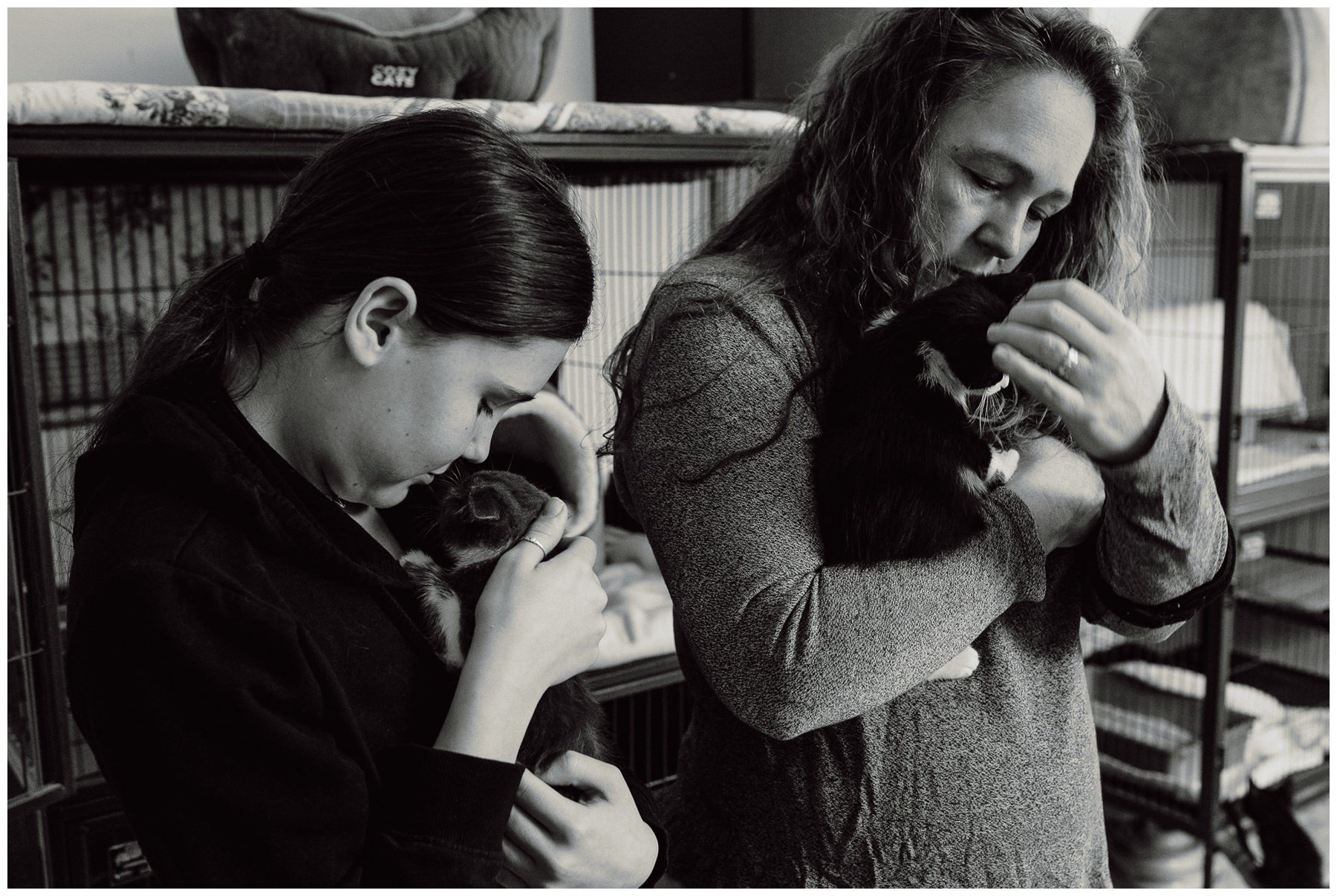 Kerry Ford Photography - Furry Tales Cat Rescue 2023-62.jpg