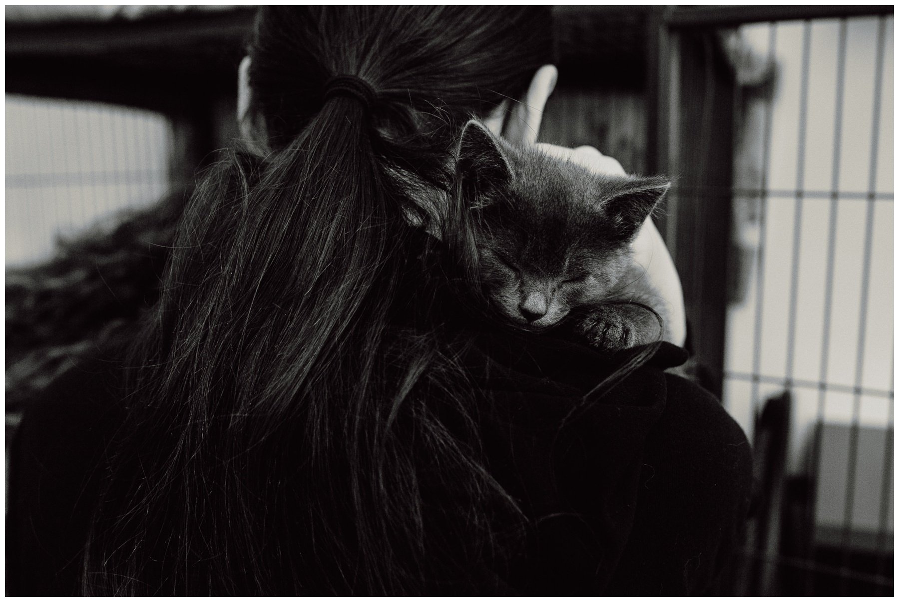 Kerry Ford Photography - Furry Tales Cat Rescue 2023-72.jpg