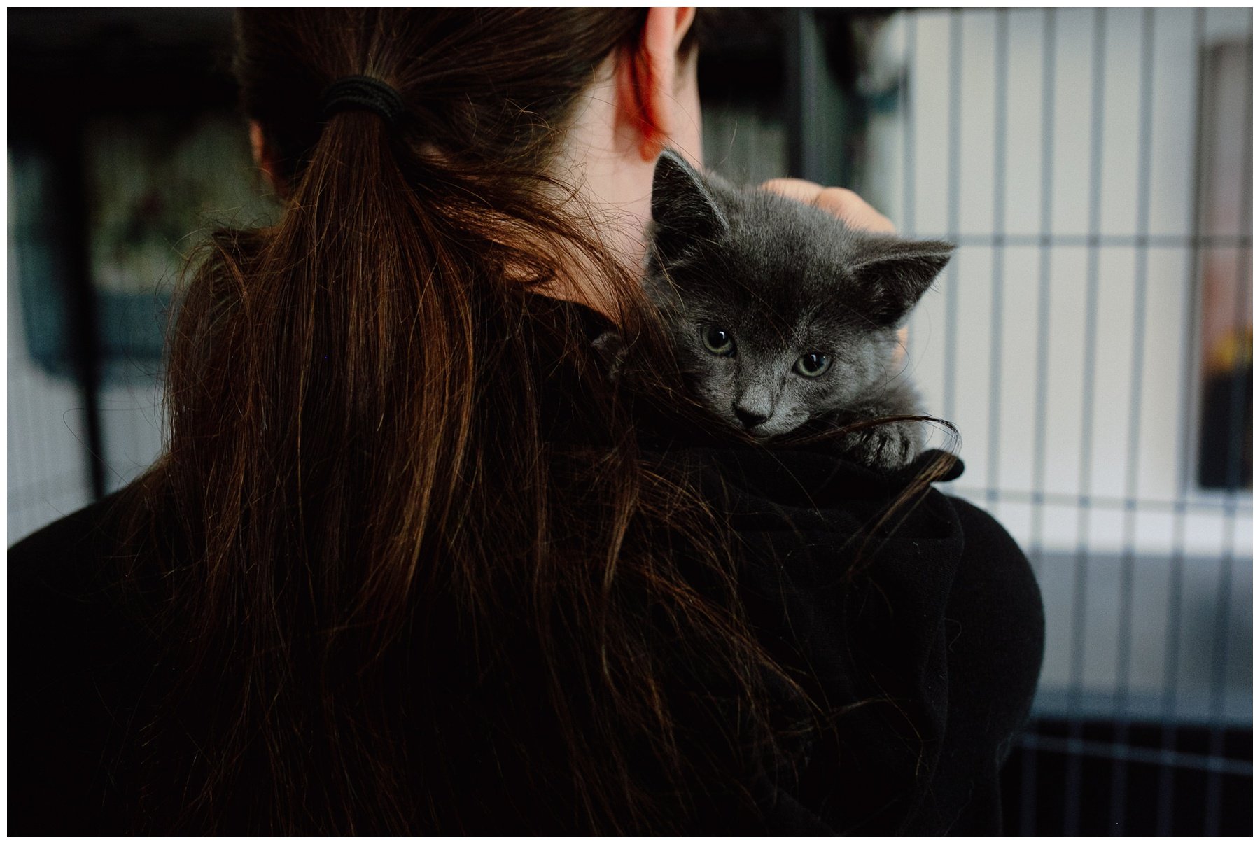 Kerry Ford Photography - Furry Tales Cat Rescue 2023-73.jpg