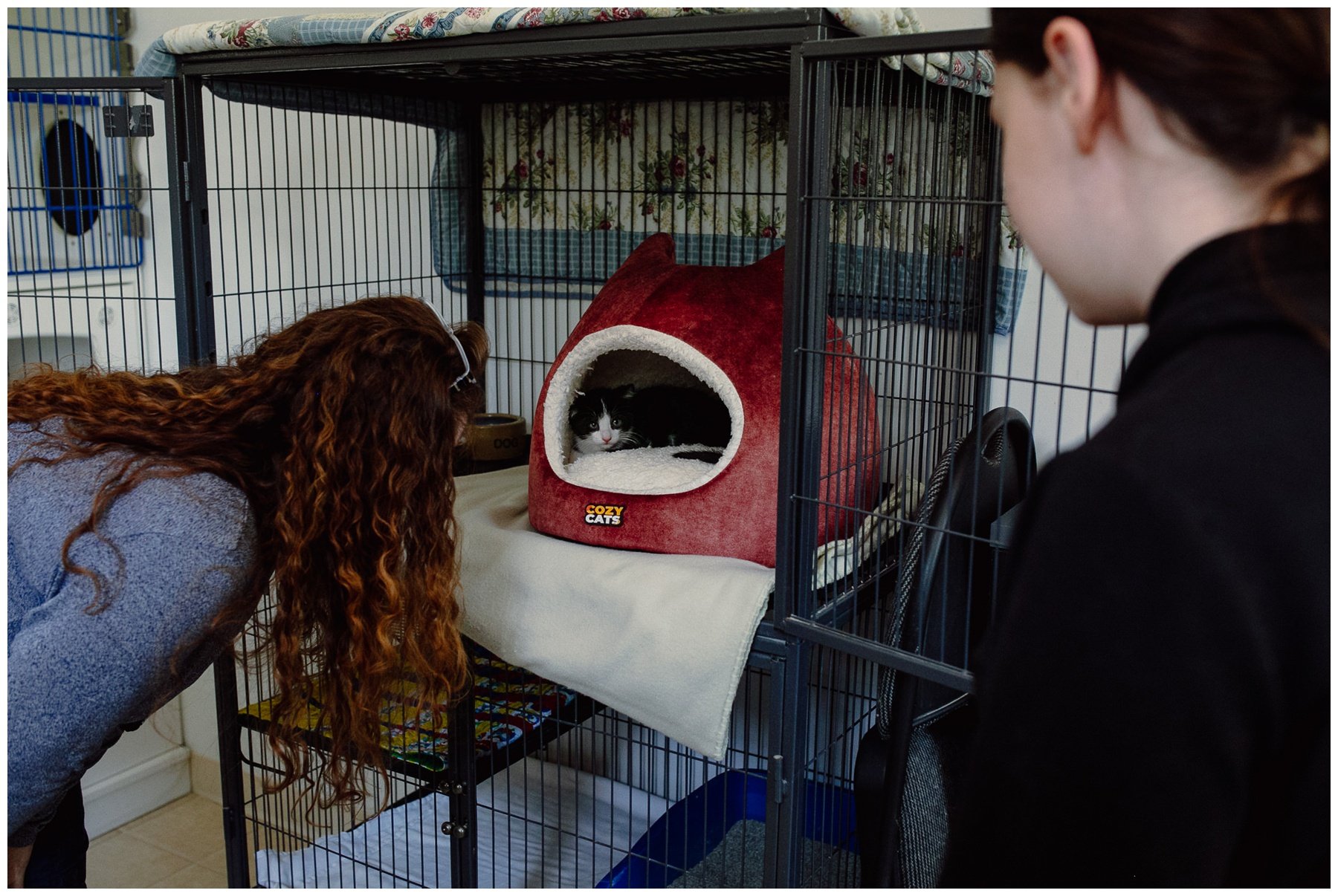 Kerry Ford Photography - Furry Tales Cat Rescue 2023-75.jpg