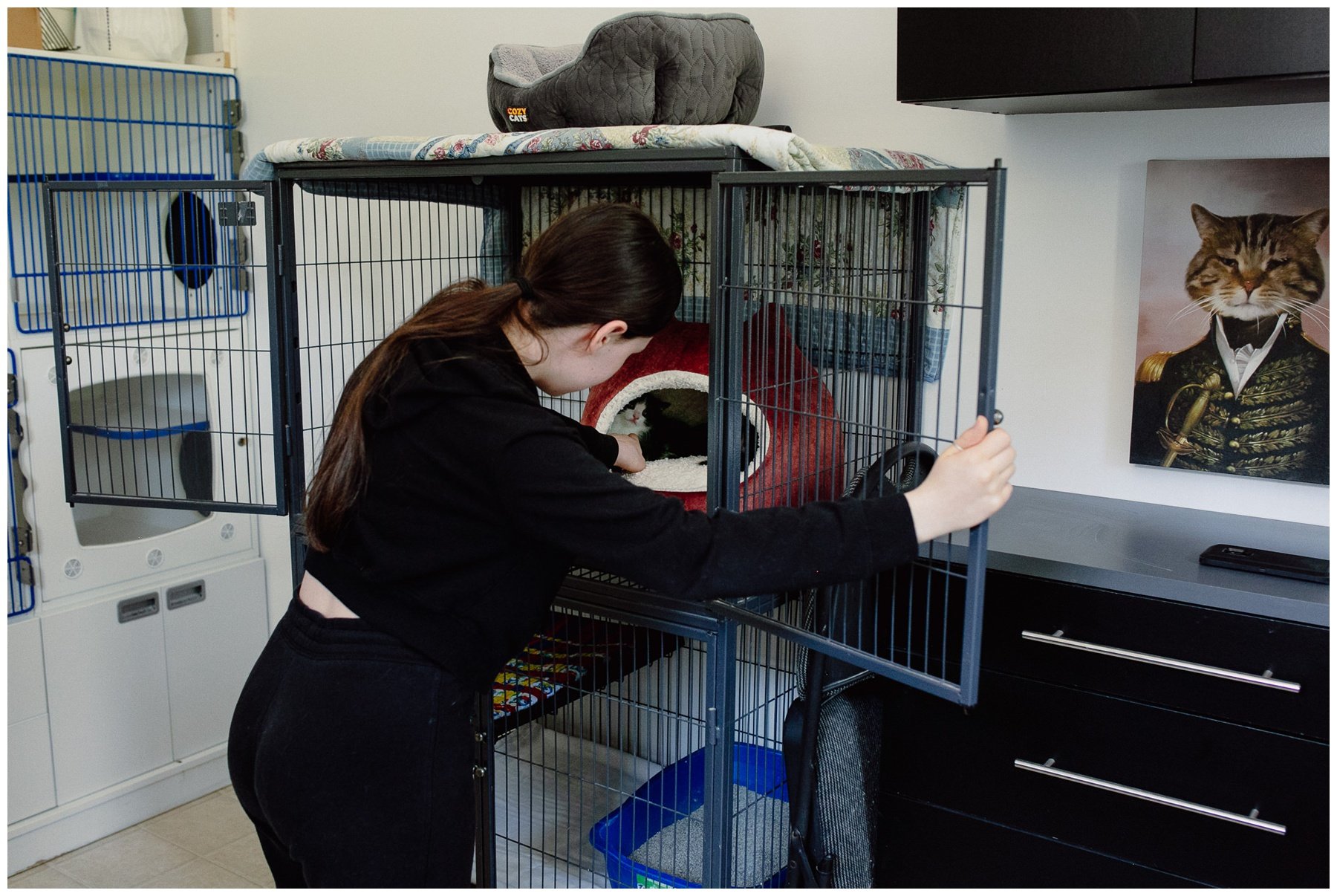 Kerry Ford Photography - Furry Tales Cat Rescue 2023-76.jpg