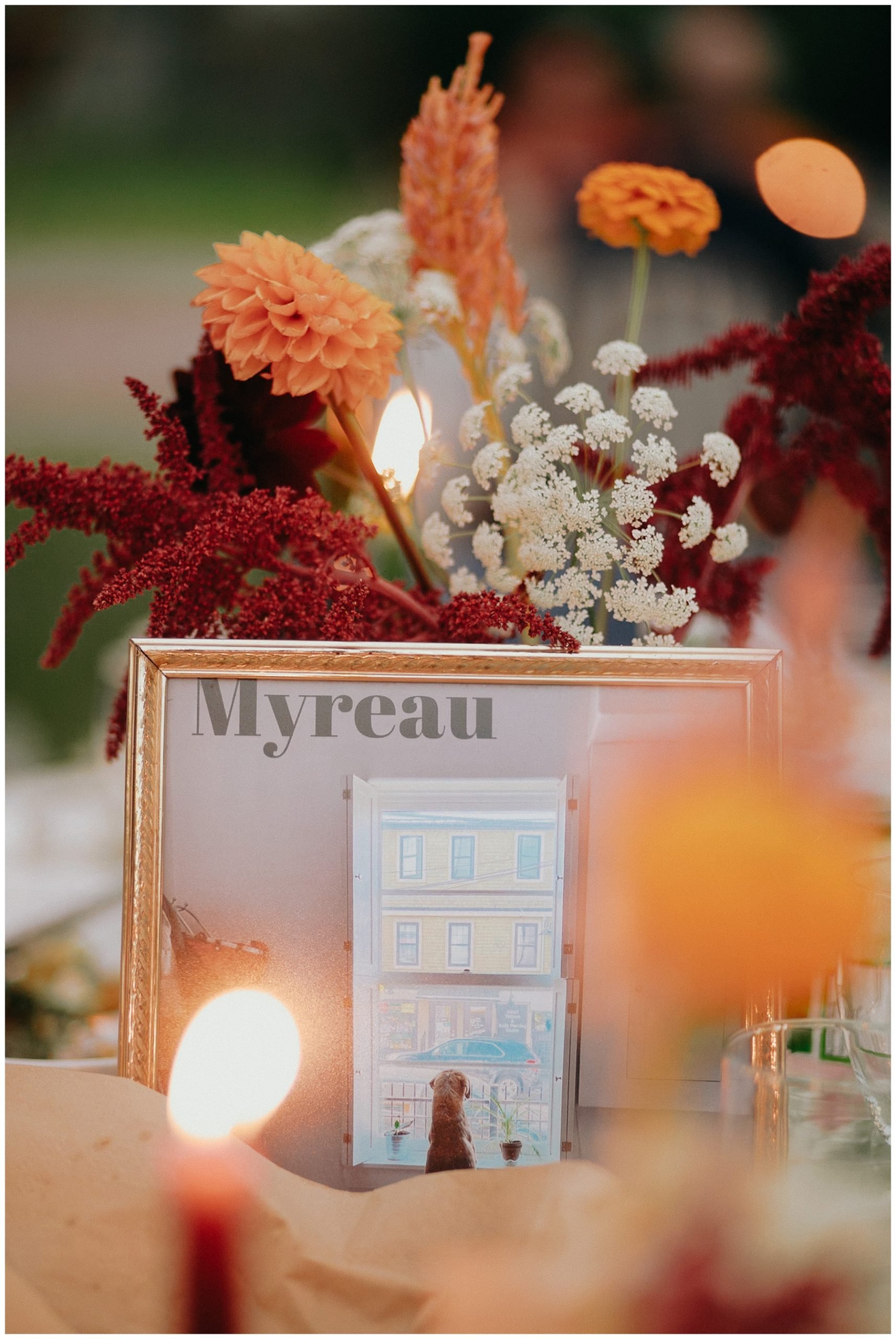 Perth Ontario DIY Backyard Tent Wedding Kerry Ford Photography-248.jpg Perth Ontario DIY Backyard Tent Wedding Kerry Ford Photography-248.jpg